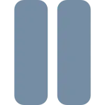 Pause SVG Icon